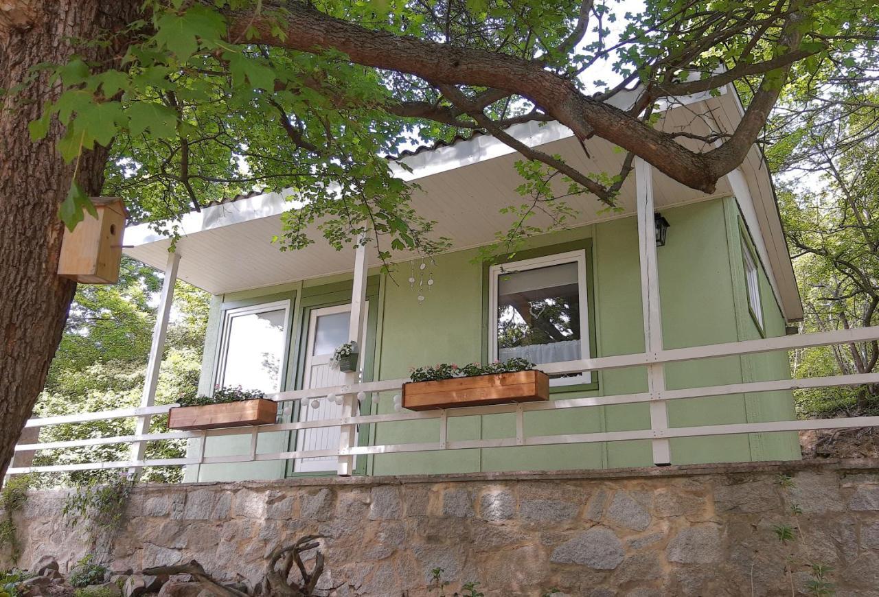 Вилла Ferienhaus Paulina Вернигероде Экстерьер фото